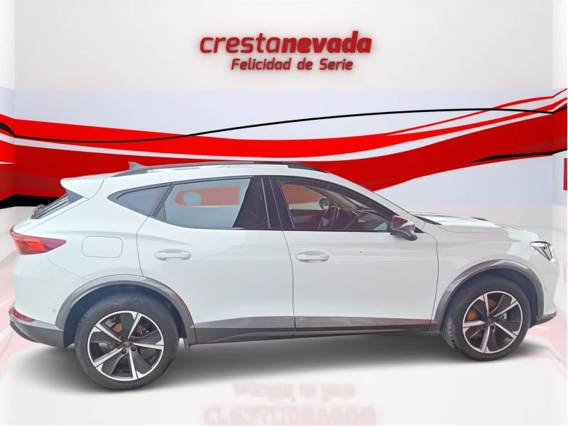 Imagen de cupra Formentor