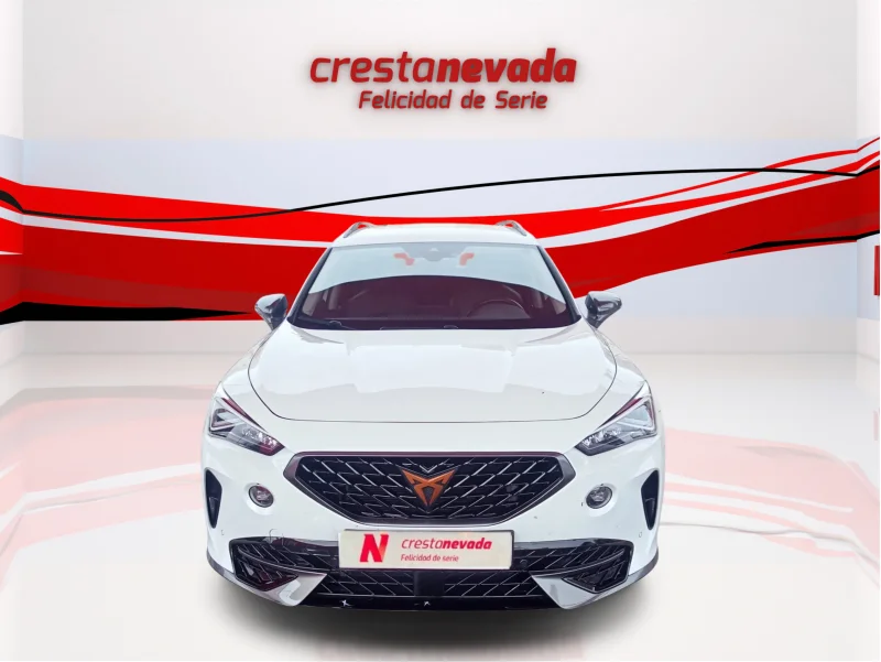 Imagen de cupra Formentor