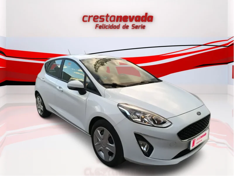 Imagen de Ford Fiesta