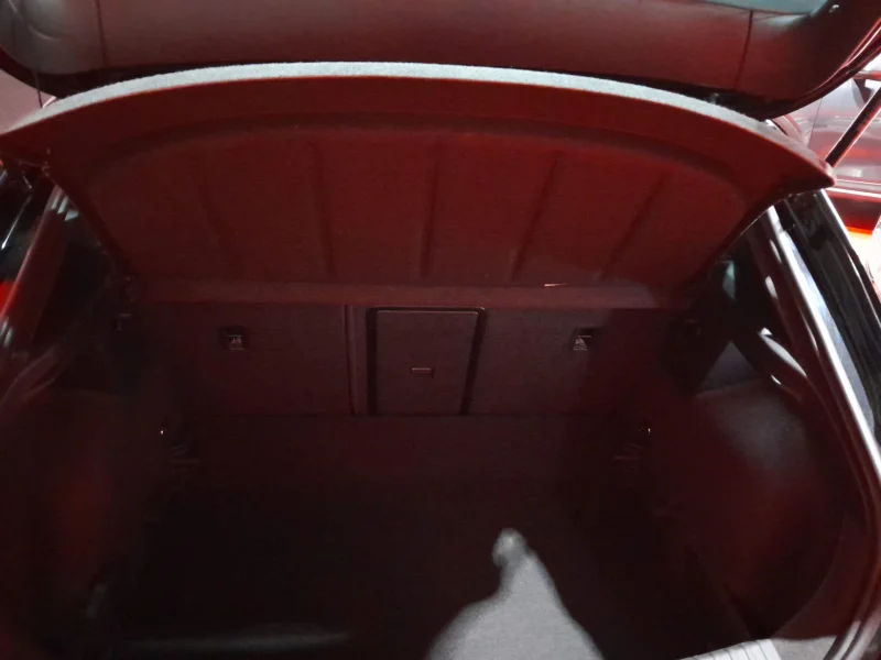 Imagen de cupra León