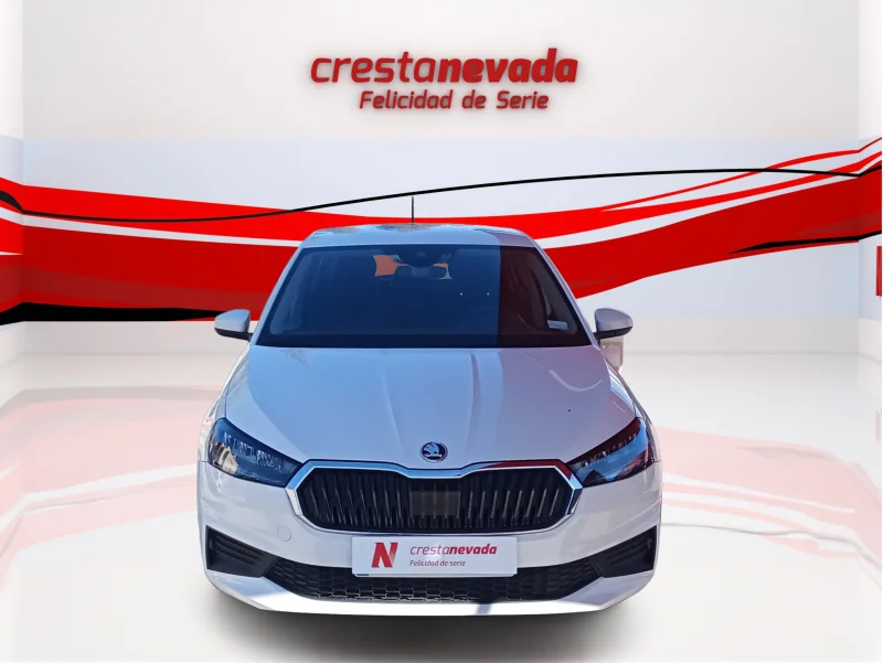 Imagen de Skoda Fabia