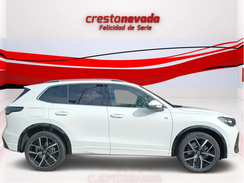 Imagen de Volkswagen Tiguan