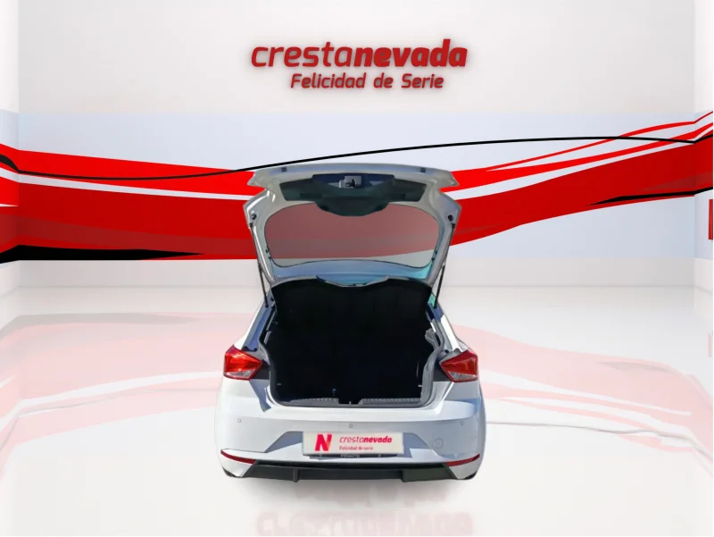 Imagen de SEAT Ibiza