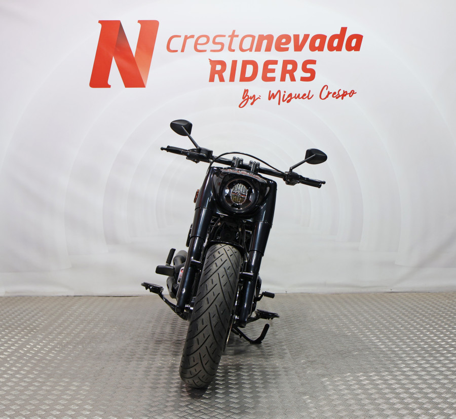 Imagen 18 de Harley Davidson FAT BOY 114 Gasolina 95 CV