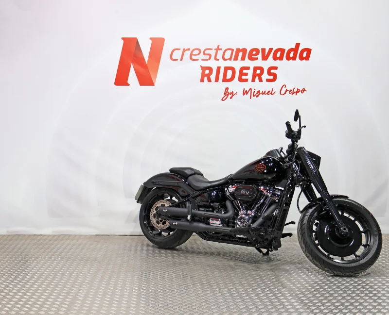 Imagen de Harley Davidson FAT BOY 114