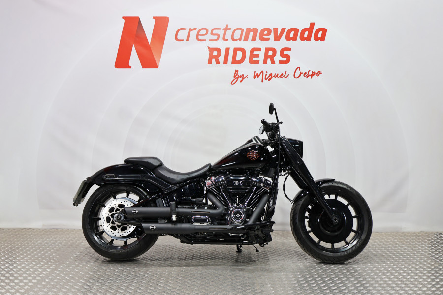 Imagen 20 de Harley Davidson FAT BOY 114 Gasolina 95 CV