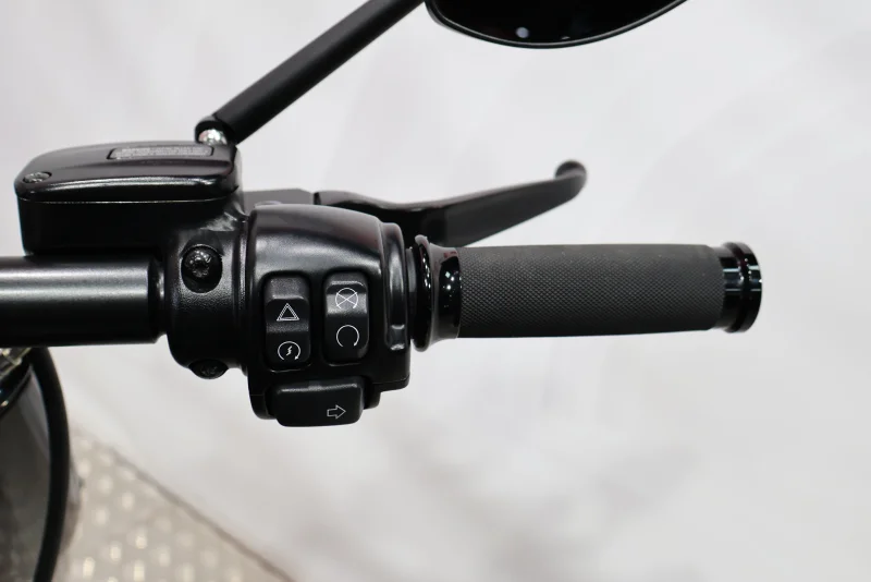 Imagen de Harley Davidson FAT BOY 114