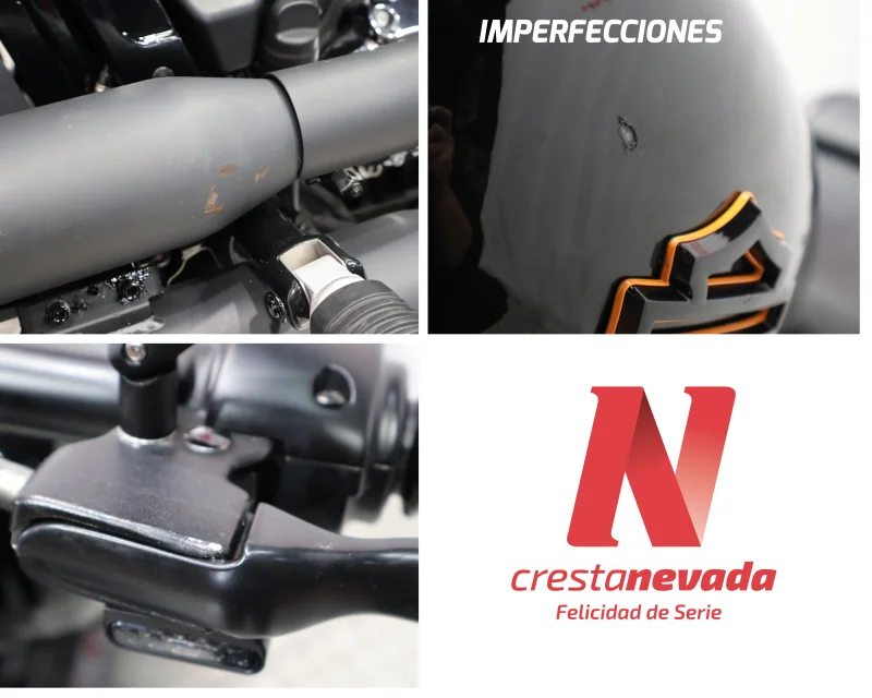 Imagen de Harley Davidson FAT BOY 114