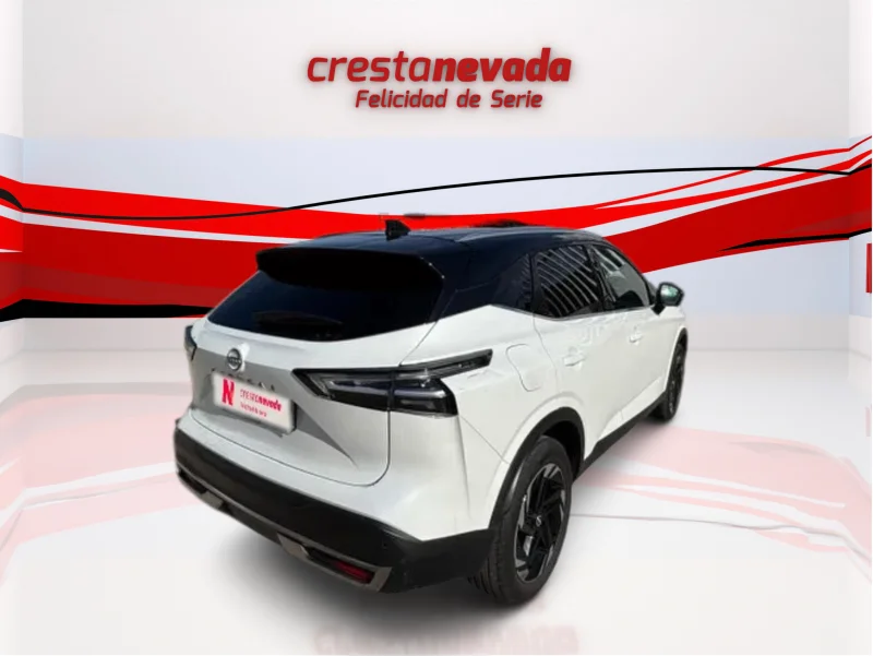 Imagen de NISSAN QASHQAI