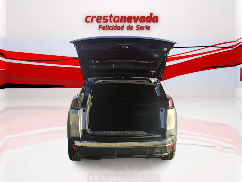 Imagen de Peugeot 3008