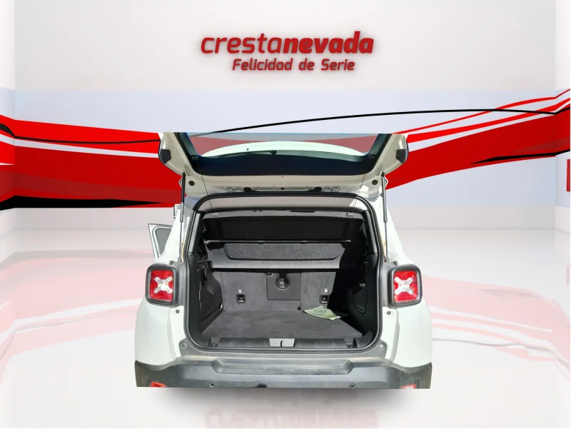 Imagen de Jeep Renegade