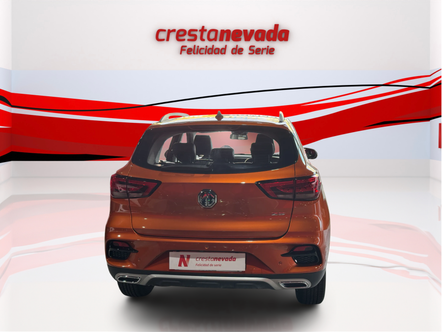 Imagen de Mg ZS