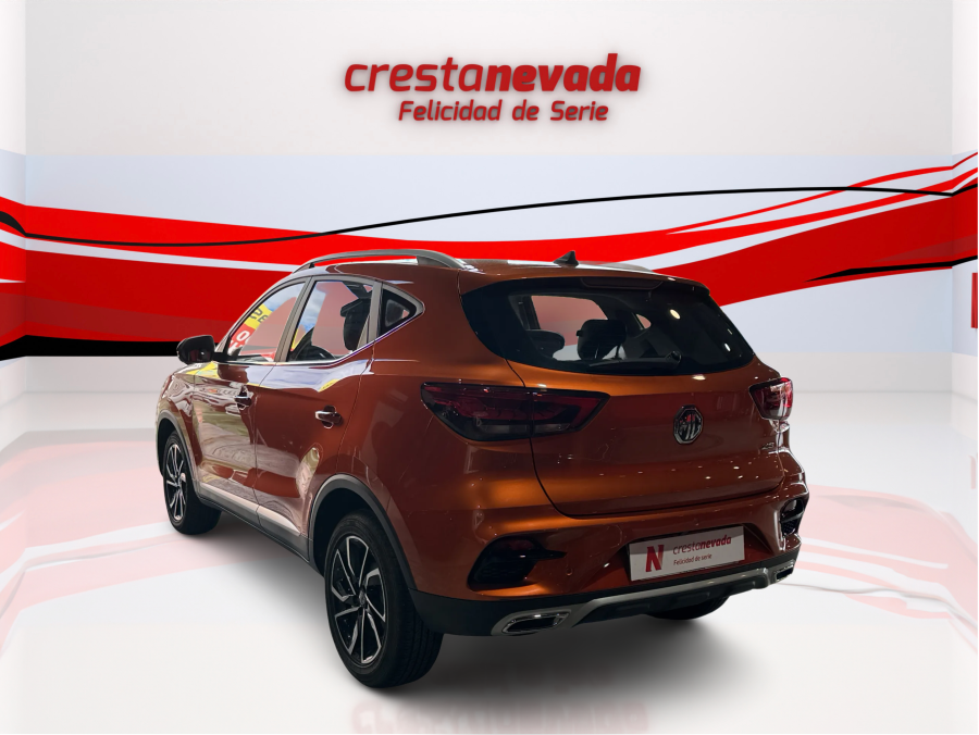 Imagen de Mg ZS