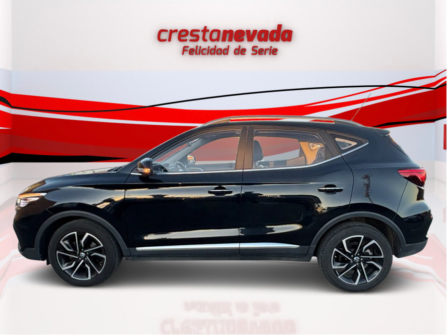 Imagen de Mg ZS