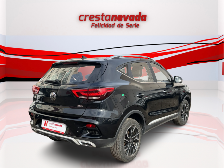 Imagen de Mg ZS