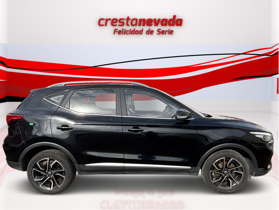 Imagen de Mg ZS