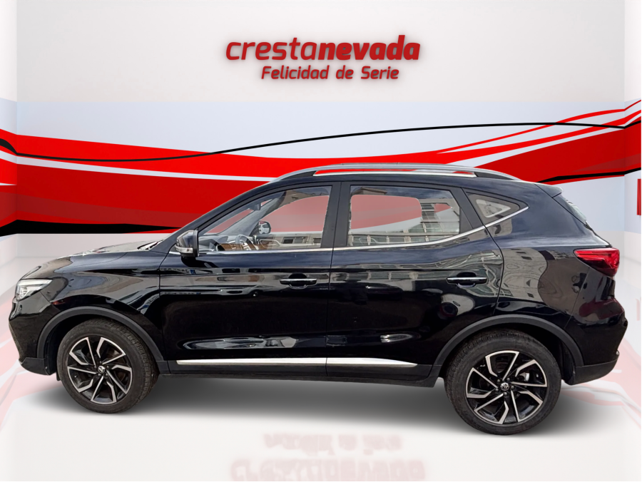 Imagen de Mg ZS