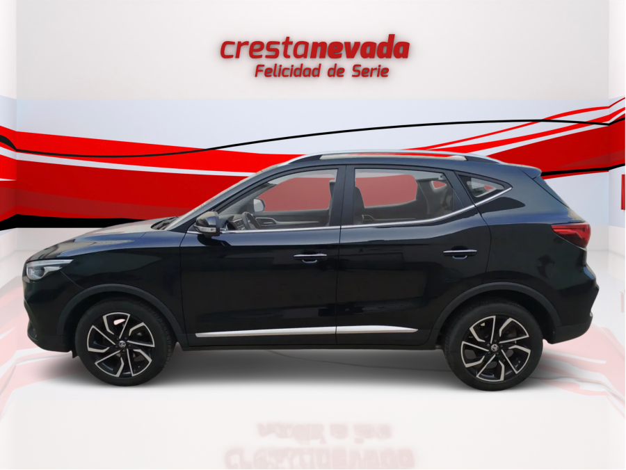 Imagen de Mg ZS