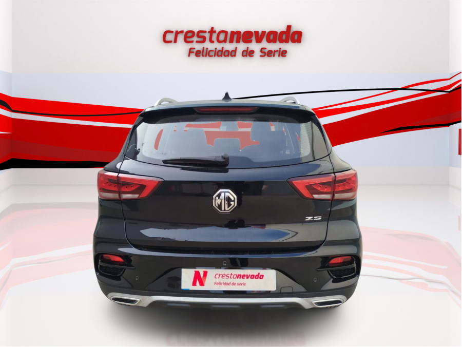 Imagen de Mg ZS
