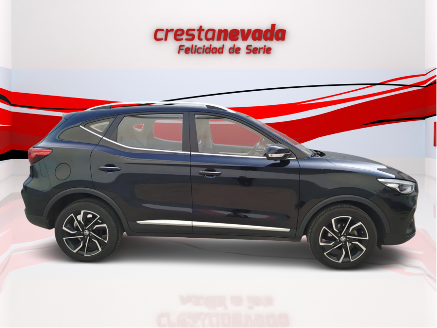 Imagen de Mg ZS