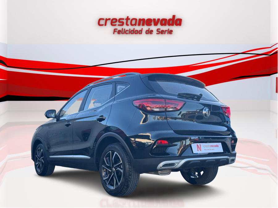 Imagen de Mg ZS