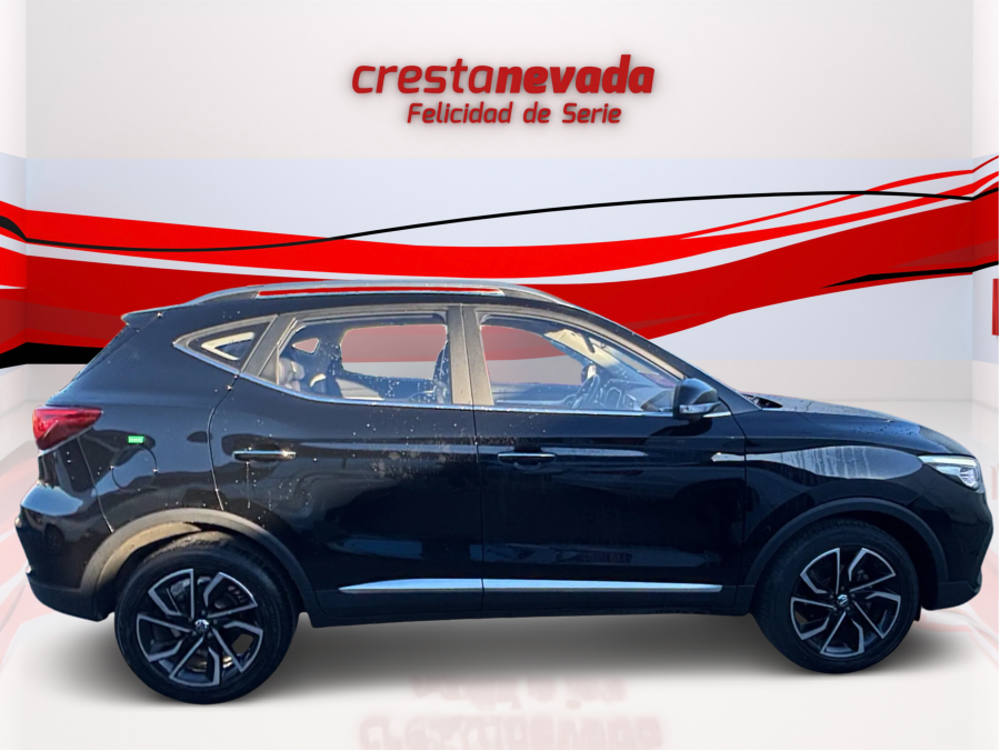 Imagen de Mg ZS