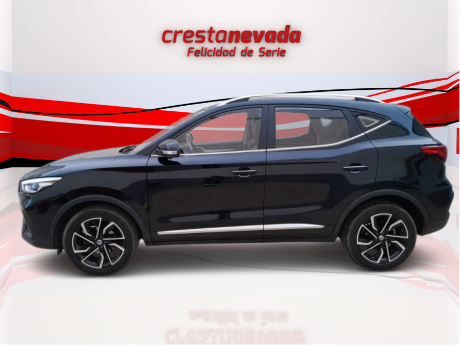 Imagen de Mg ZS