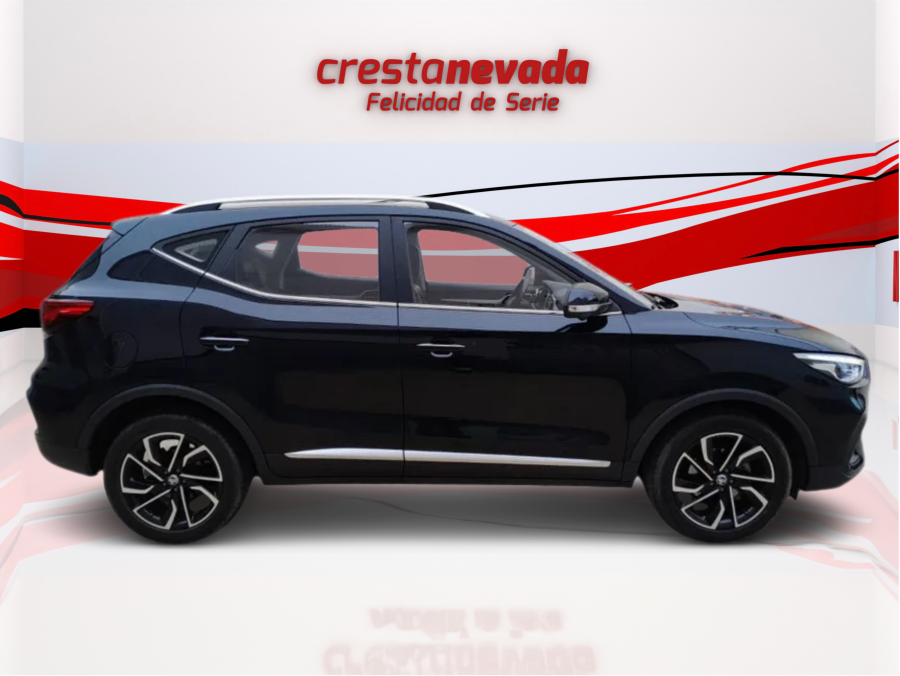 Imagen de Mg ZS