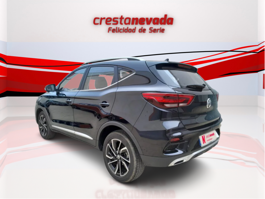 Imagen de Mg ZS