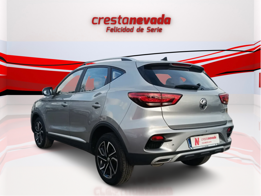 Imagen de Mg ZS