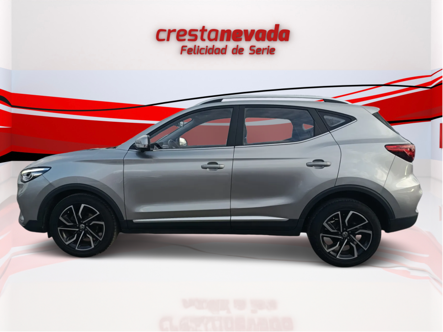 Imagen de Mg ZS