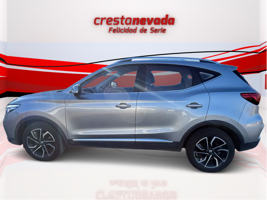 Imagen de Mg ZS