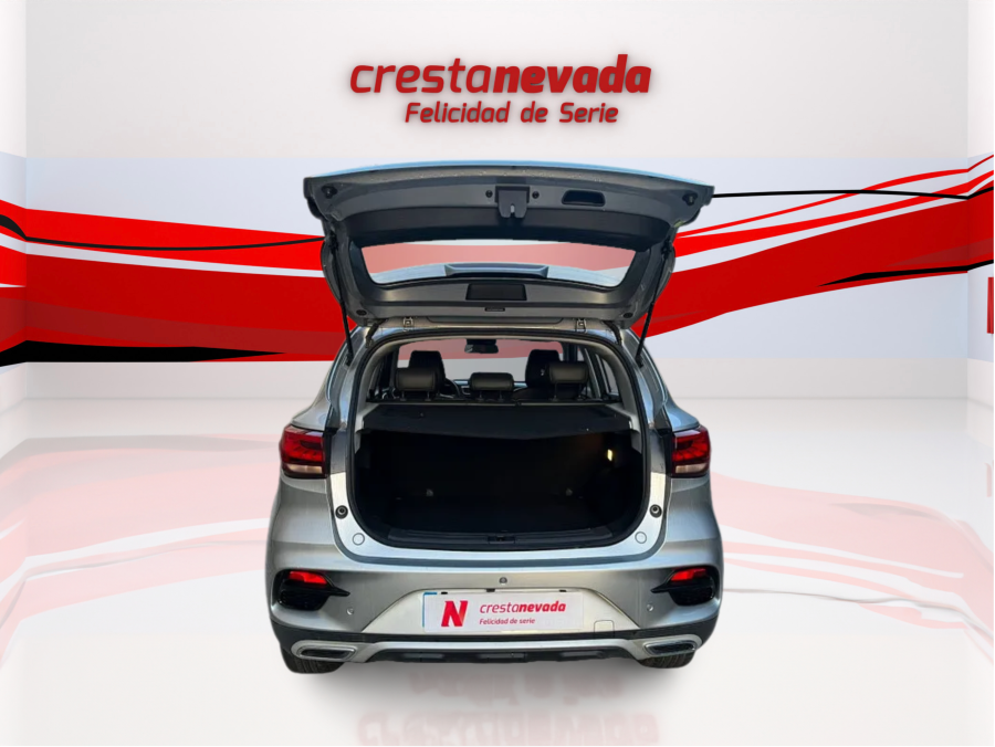 Imagen de Mg ZS