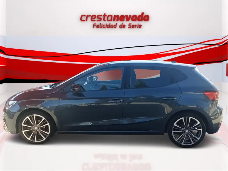 Imagen de SEAT Ibiza