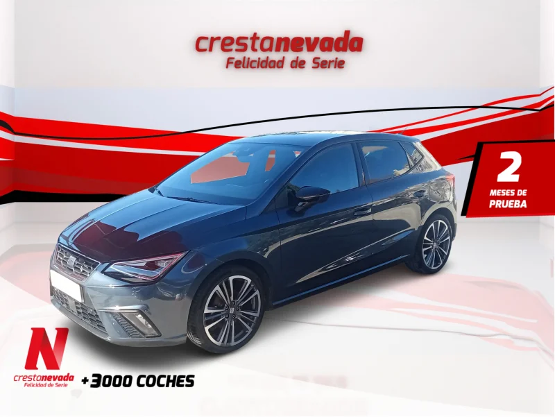 Imagen de SEAT Ibiza