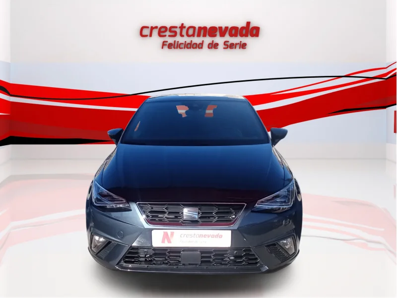 Imagen de SEAT Ibiza