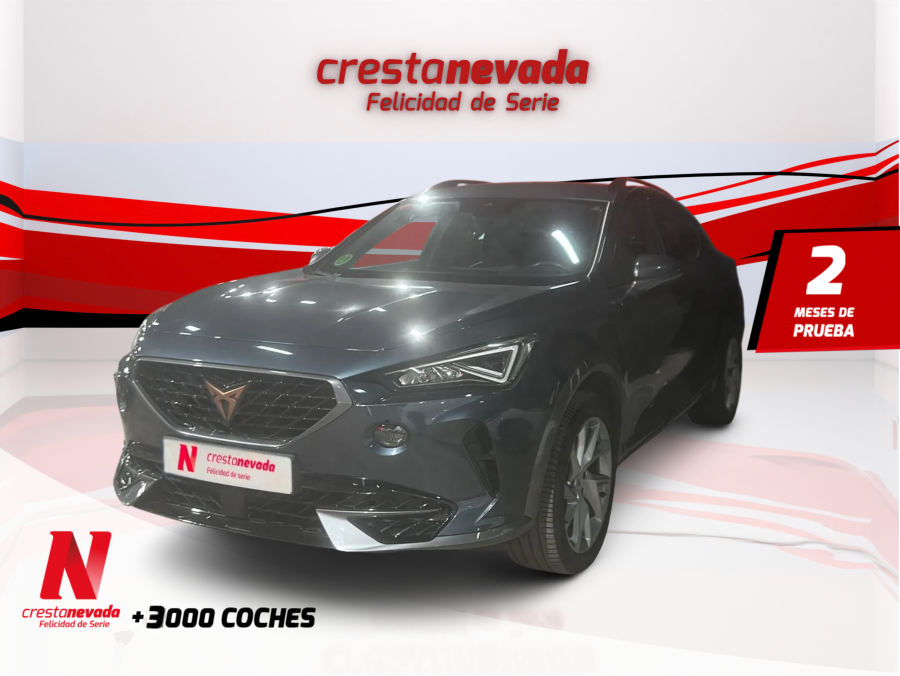 Imagen de cupra Formentor