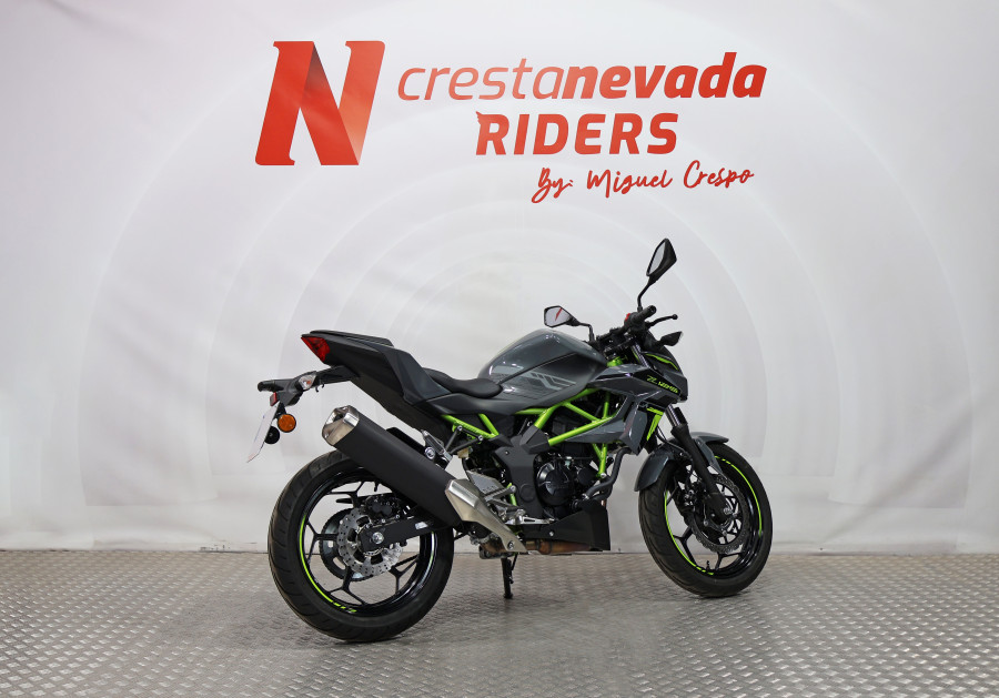Imagen 11 de KAWASAKI Z 125 Gasolina 15 CV
