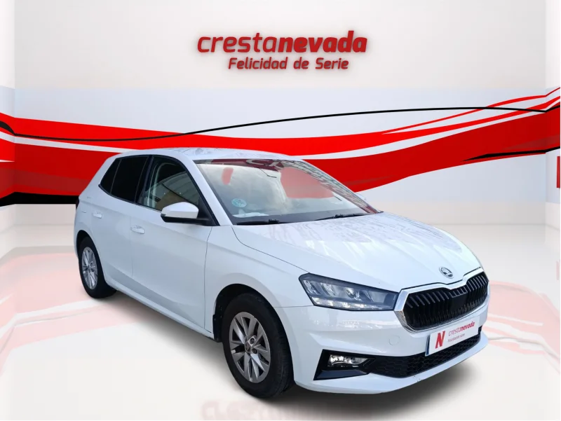 Imagen de Skoda Fabia