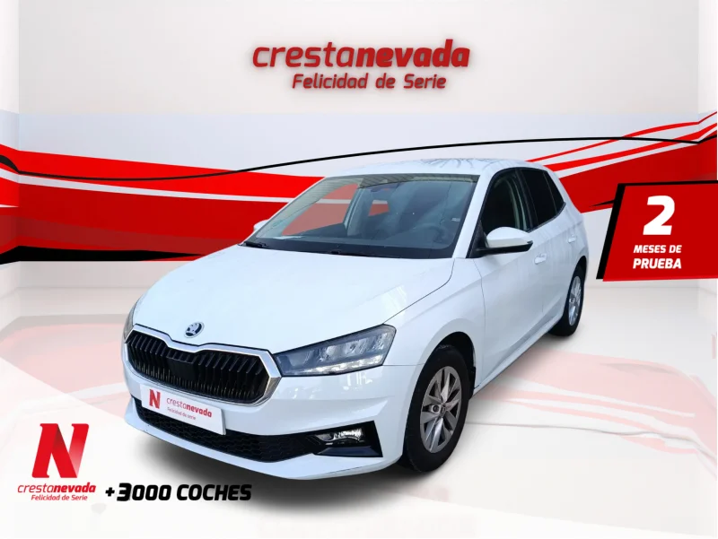 Imagen de Skoda Fabia