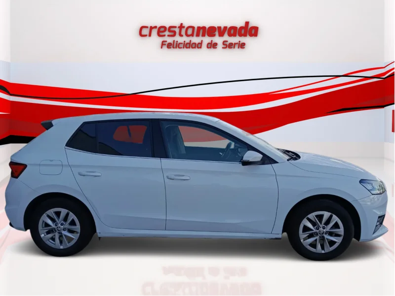 Imagen de Skoda Fabia