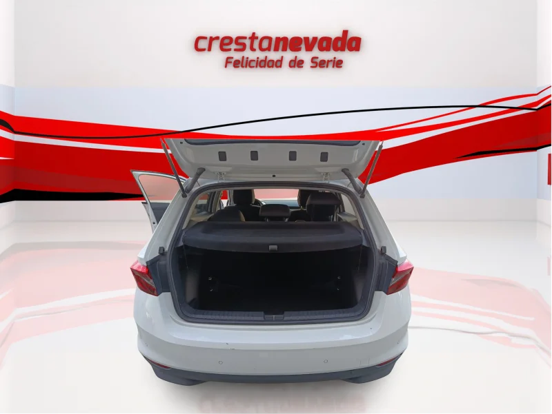 Imagen de Skoda Fabia