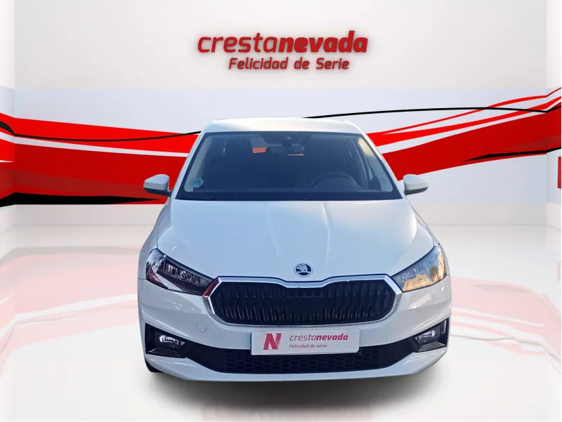 Imagen de Skoda Fabia