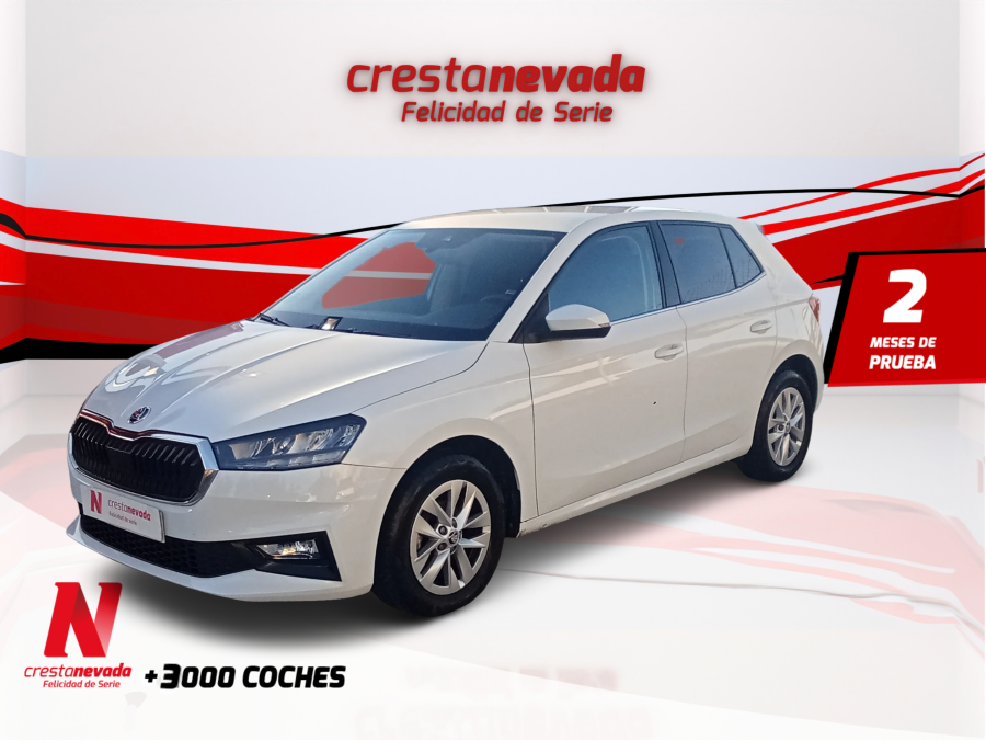 Imagen de Skoda Fabia