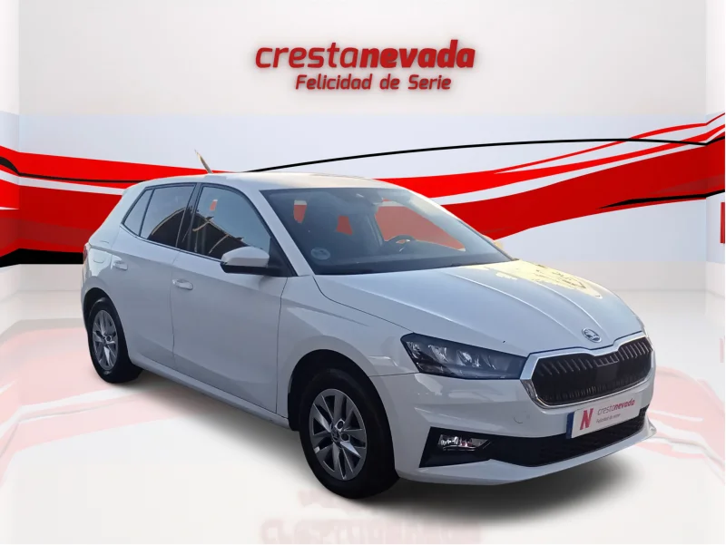 Imagen de Skoda Fabia