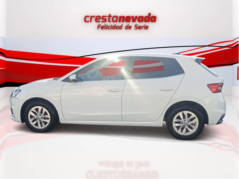 Imagen de Skoda Fabia
