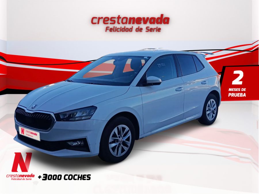 Imagen de Skoda Fabia