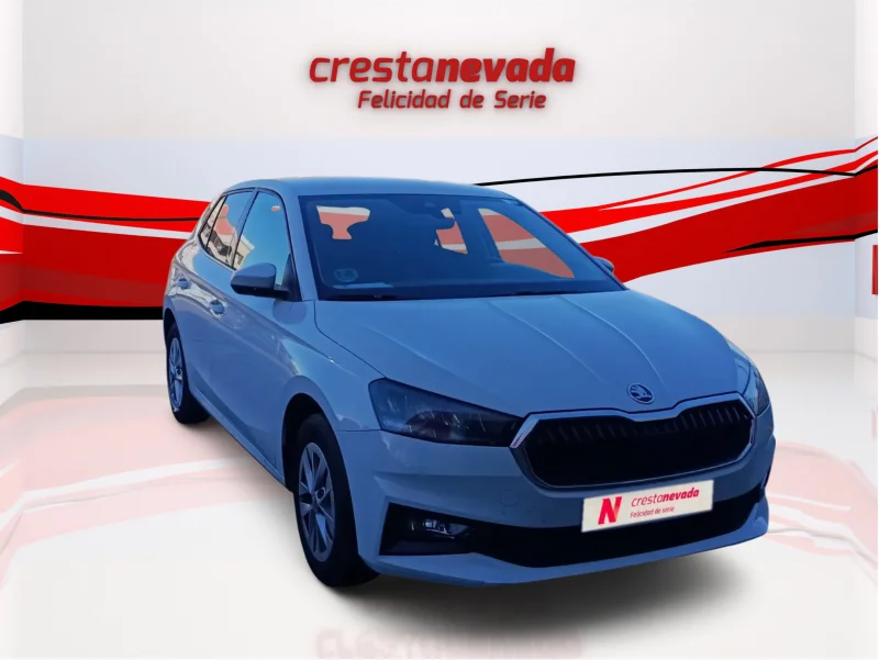 Imagen de Skoda Fabia