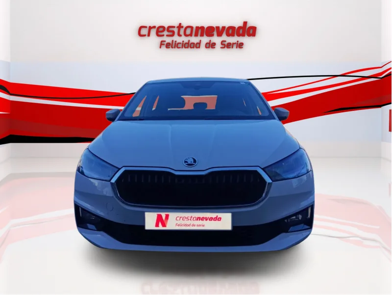 Imagen de Skoda Fabia