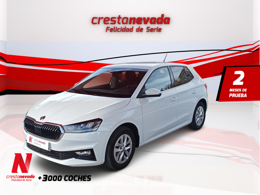 Imagen de Skoda Fabia